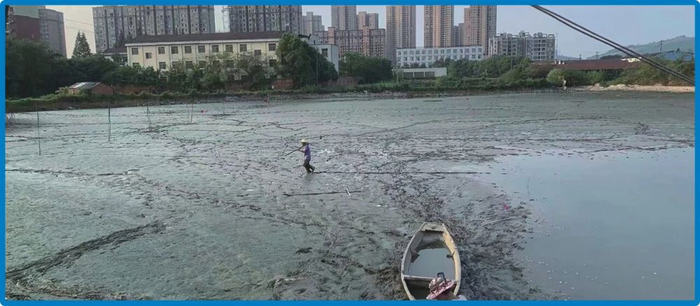 微信图片_20250924094858